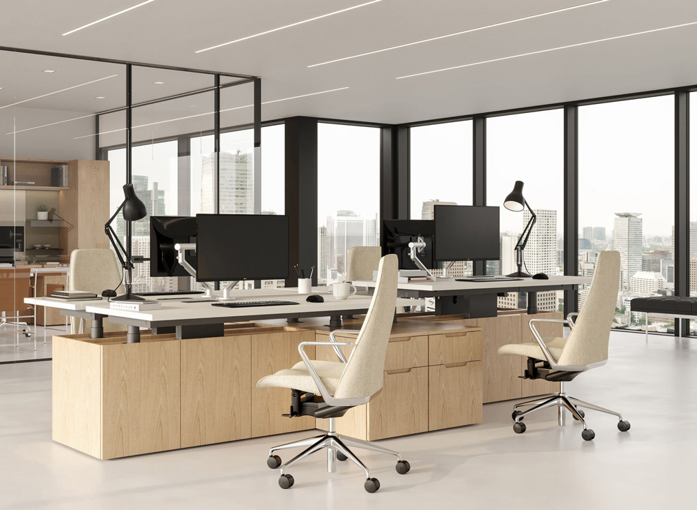 Geiger Law Firm workstations