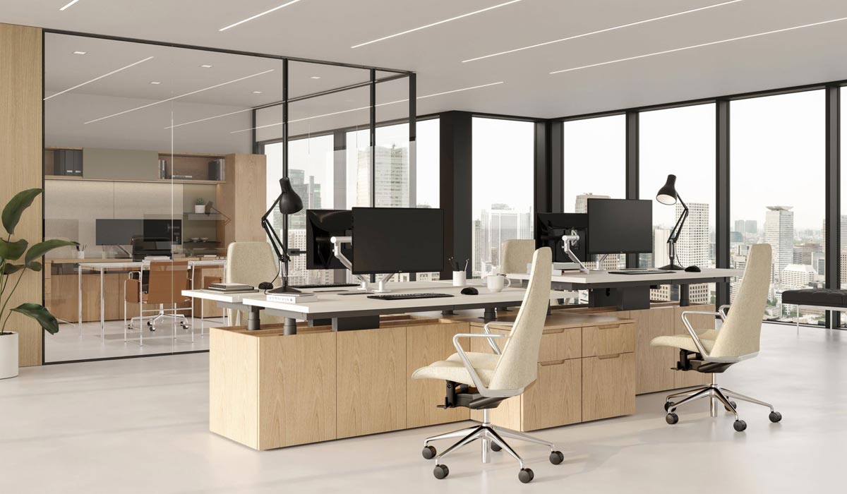 ergonomic office space