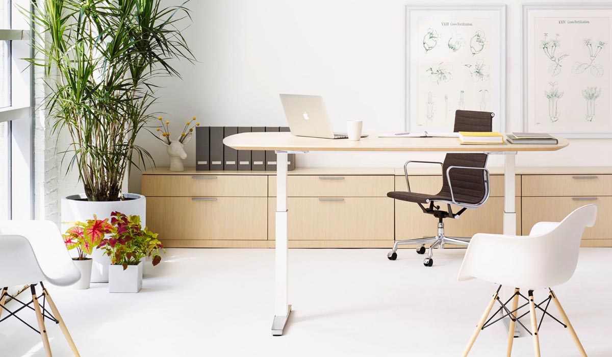 Sit to stand desk in private office furniture
